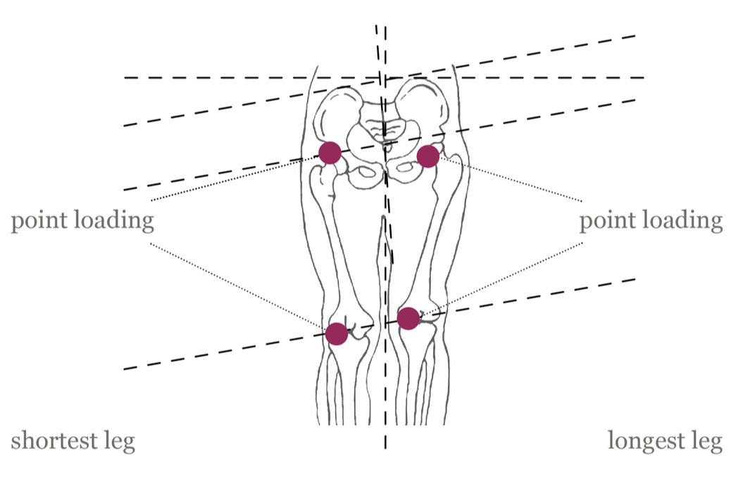 Spinal Basis Balance WBA should release tension and incorrect posture and return the body to its natural position.